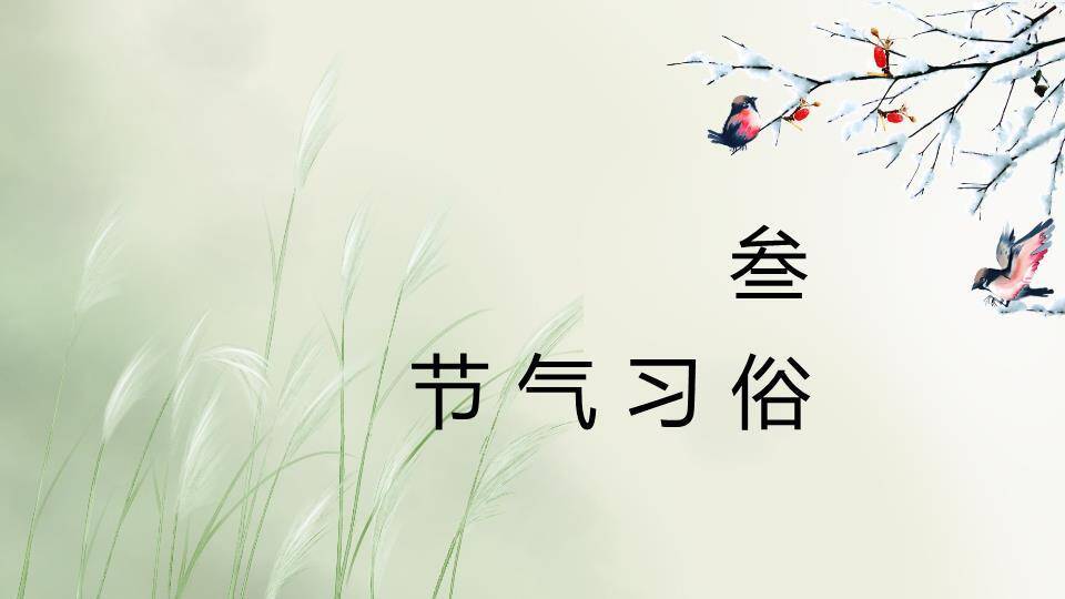 霜降节气柿子秋景PPT模板3