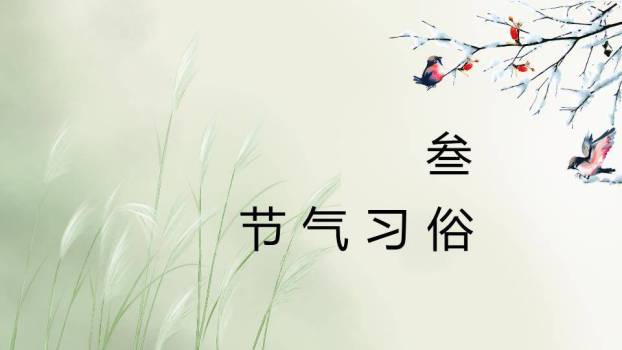 霜降节气柿子秋景PPT模板3