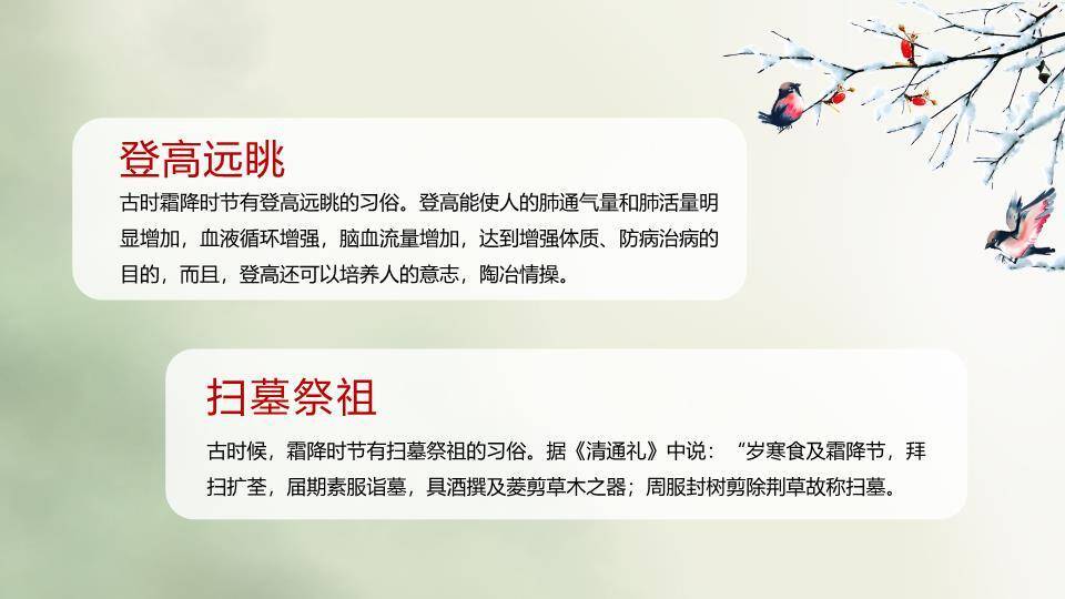 霜降节气柿子秋景PPT模板6