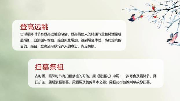 霜降节气柿子秋景PPT模板6