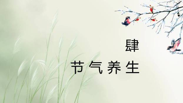 霜降节气柿子秋景PPT模板7