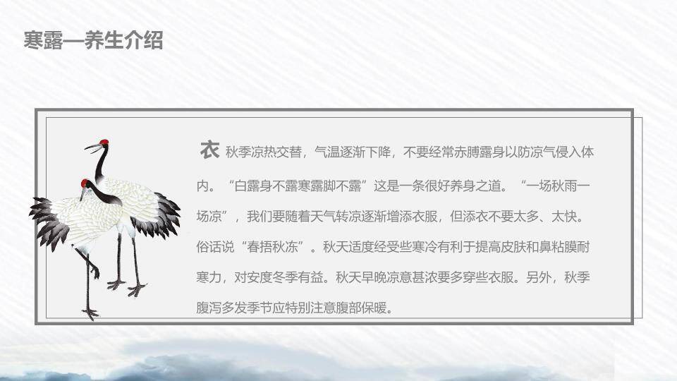 寒露节气荷塘清露PPT模板1