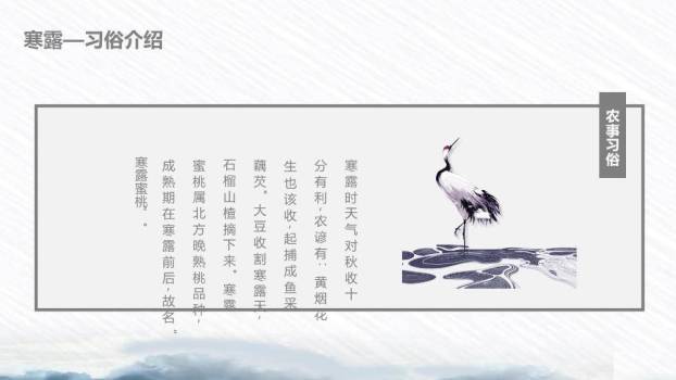 寒露节气荷塘清露PPT模板7