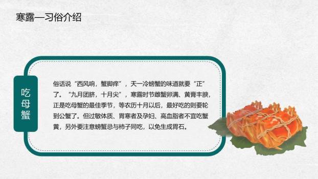 寒露节气纸艺风PPT模板8