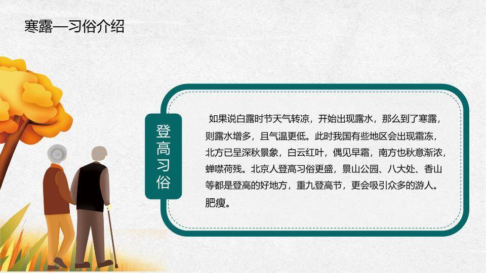 寒露节气纸艺风PPT模板6