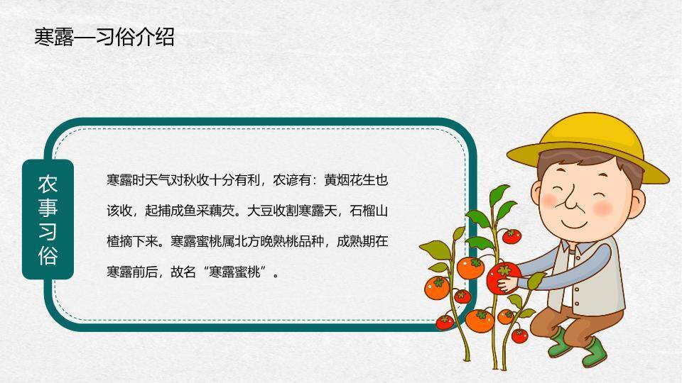 寒露节气纸艺风PPT模板7