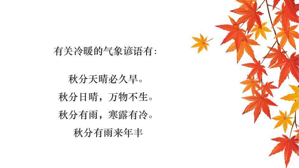 秋分节气书法展示PPT模板9