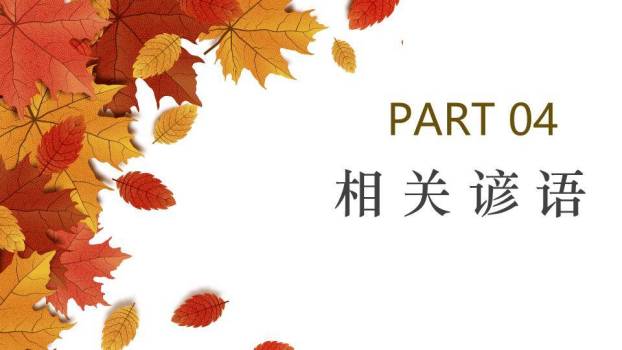 秋分节气书法展示PPT模板7