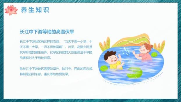 大暑节气水墨荷花PPT模板5