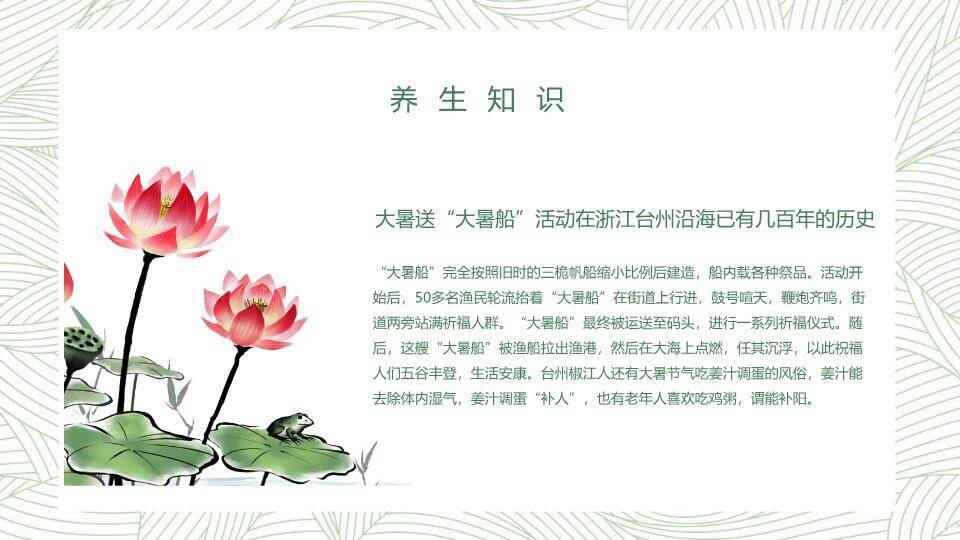 大暑简约绿意设计PPT模板8