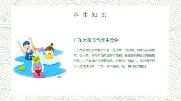 大暑简约绿意设计PPT模板9