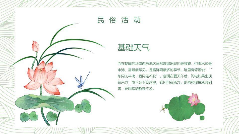 大暑简约绿意设计PPT模板4