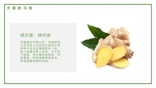 大暑夏日乐园卡通PPT模板5