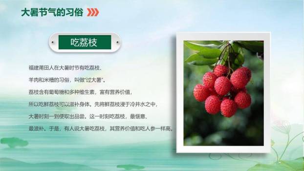 大暑你好夏天生态风PPT模板1