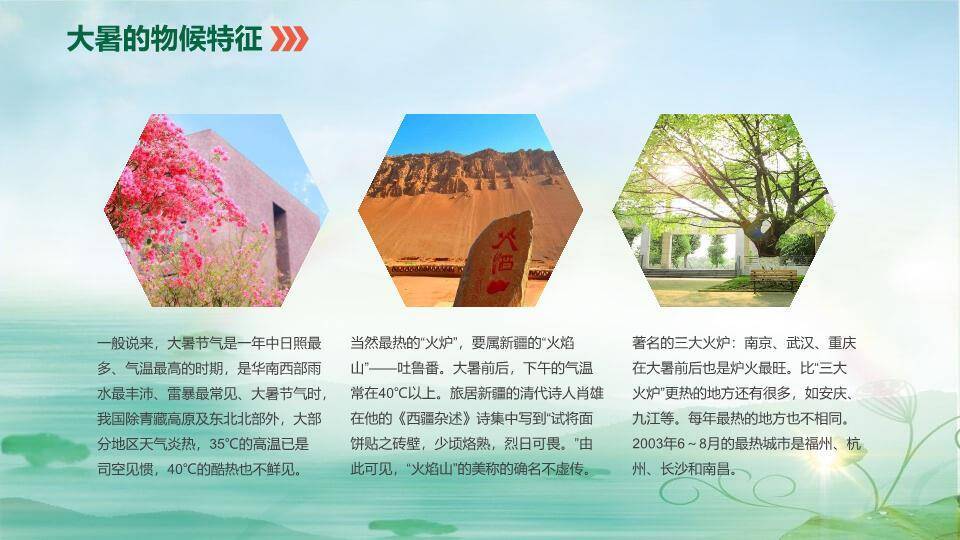 大暑你好夏天生态风PPT模板3