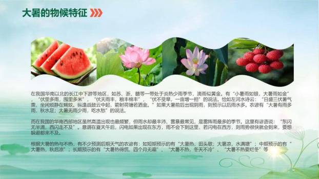 大暑你好夏天生态风PPT模板4