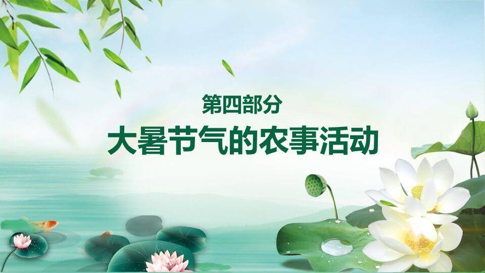 大暑你好夏天生态风PPT模板5