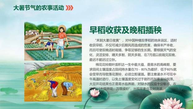 大暑你好夏天生态风PPT模板6