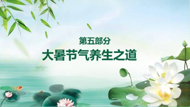 大暑你好夏天生态风PPT模板7