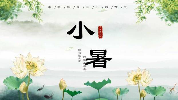 夏至节气荷上童趣PPT模板0