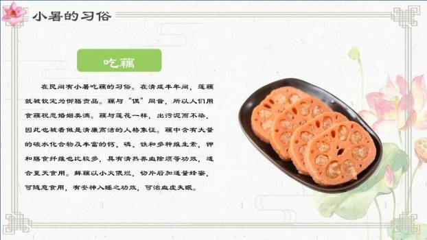 夏至节气荷上童趣PPT模板2