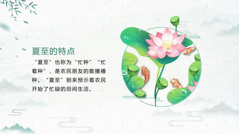 夏至节气万物繁茂PPT模板5