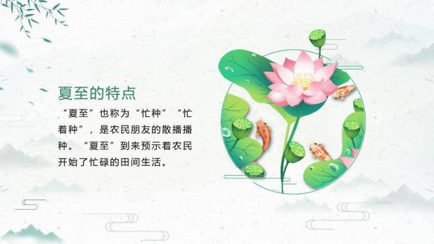 夏至节气万物繁茂PPT模板5