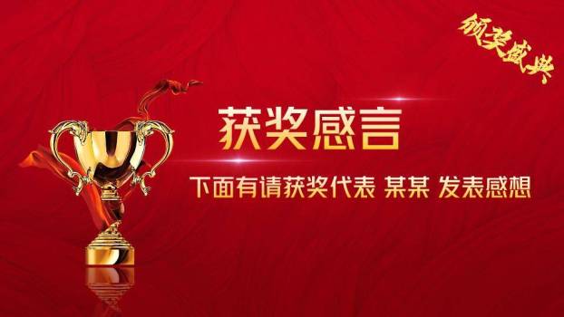 中心奖杯年度颁奖典礼主视觉年会PPT模板8