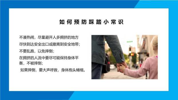 淡蓝雪景雪山枯树寒假安全教育班会PPT模板5