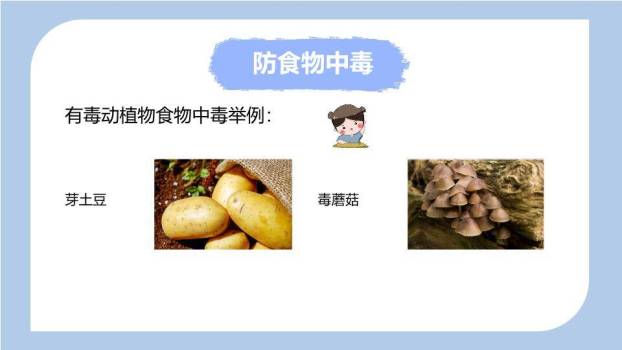 流线光效男孩雪花寒假安全班会PPT模板6