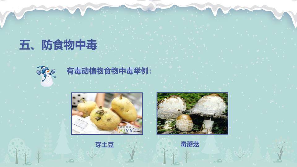 雪山湖面狐狸拼音寒假安全出行PPT模板6