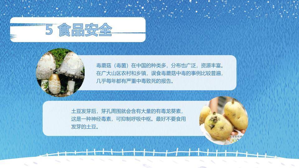 极地雪景寒假安全教育PPT模板5