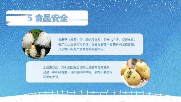 极地雪景寒假安全教育PPT模板5