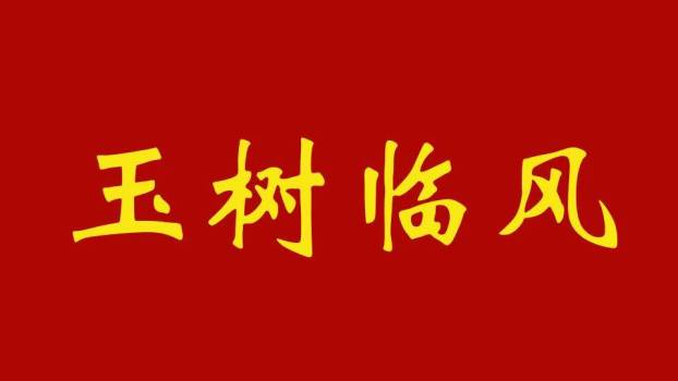 红底金白字晚会成语快闪游戏PPT模板2
