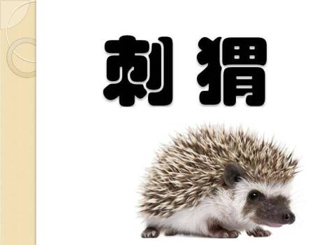 老虎草丛动物主题比划猜游戏PPT模板8