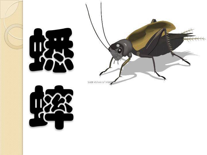 老虎草丛动物主题比划猜游戏PPT模板9