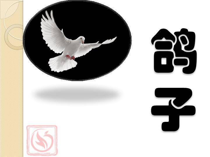 老虎草丛动物主题比划猜游戏PPT模板2