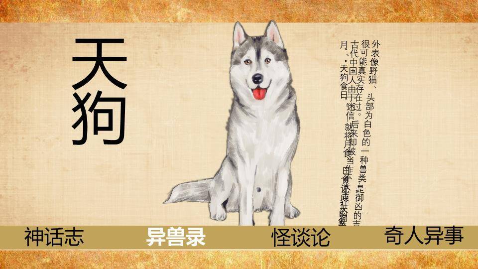 雾中山峦孤舟书籍封面PPT模板4