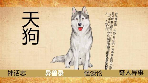 雾中山峦孤舟书籍封面PPT模板4