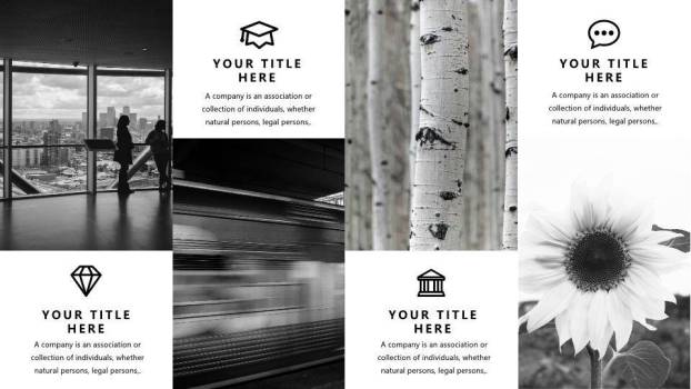 英文学术报告ppt模板8