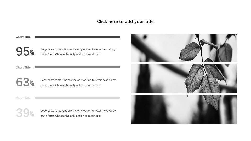 熊猫ppt模板英文3