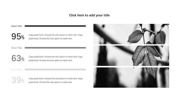 熊猫ppt模板英文3