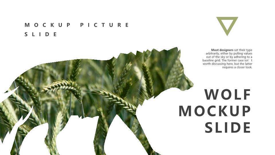 英文培训ppt模板2