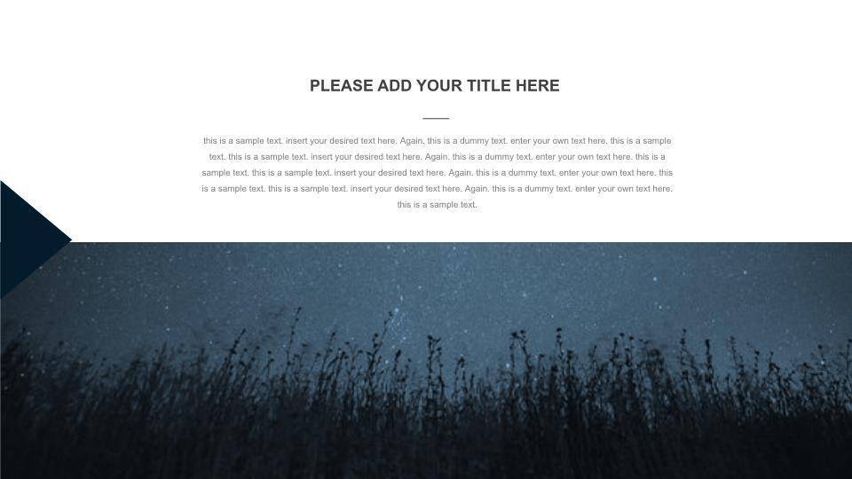 英文案例ppt模板4