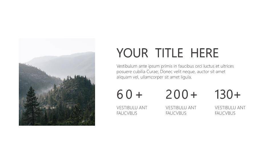 端午节ppt模板英文9