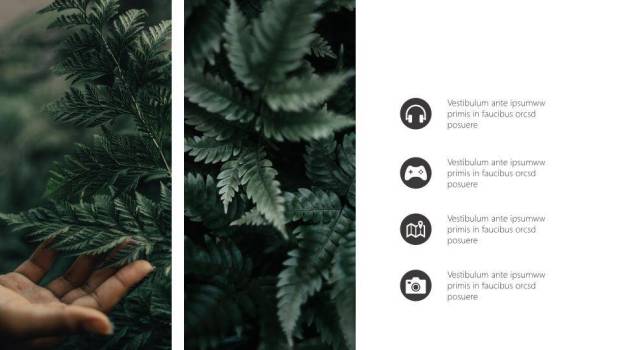 端午节ppt模板英文3