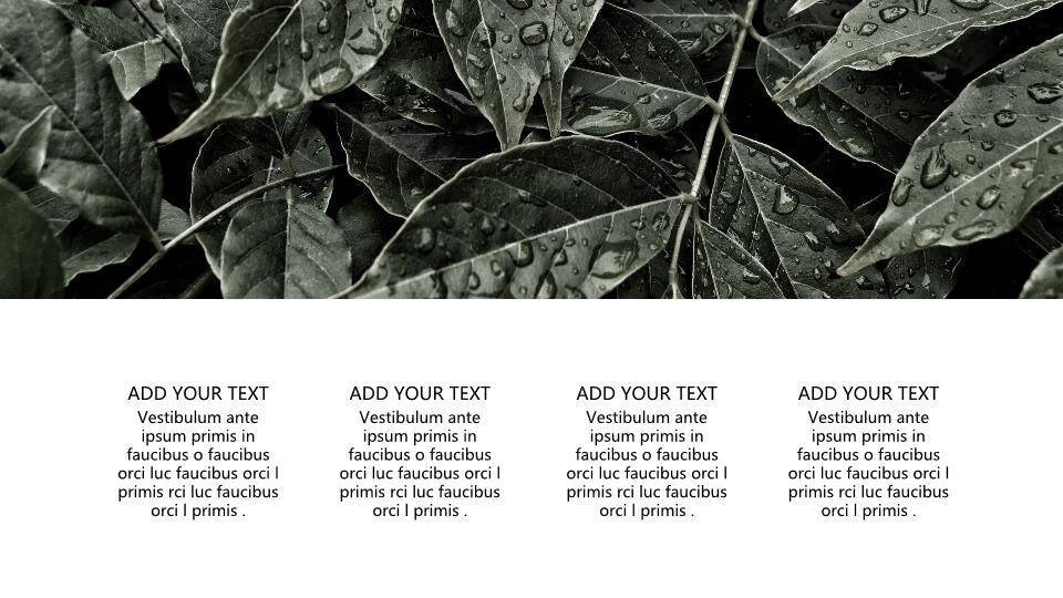 端午节ppt模板英文4