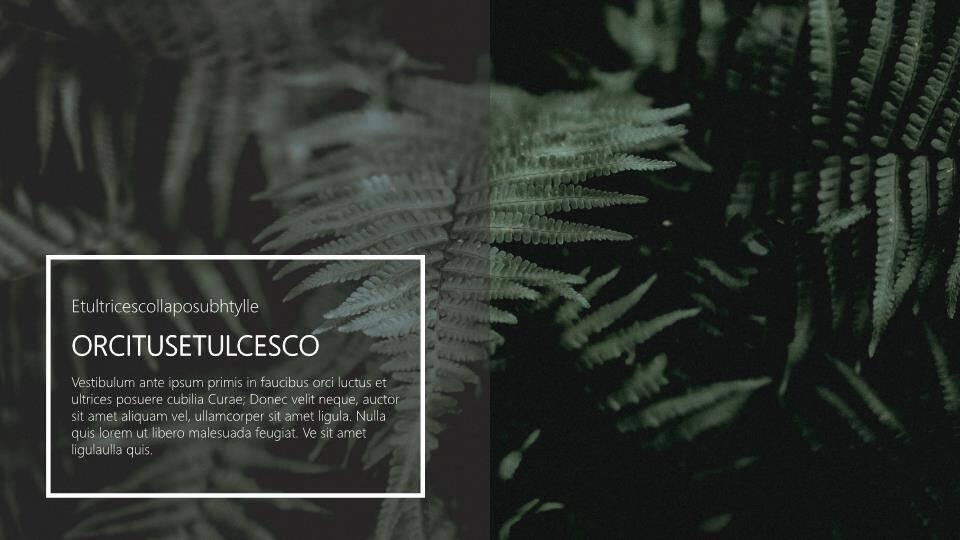 端午节ppt模板英文6