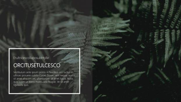 端午节ppt模板英文6