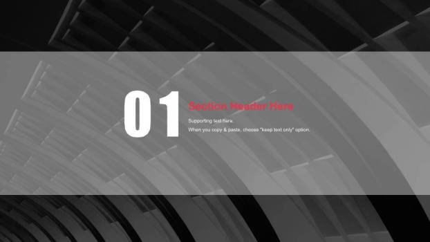 明星的英文ppt模板8